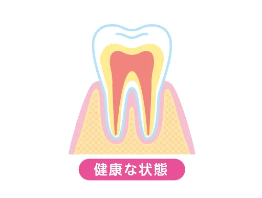健康な歯肉